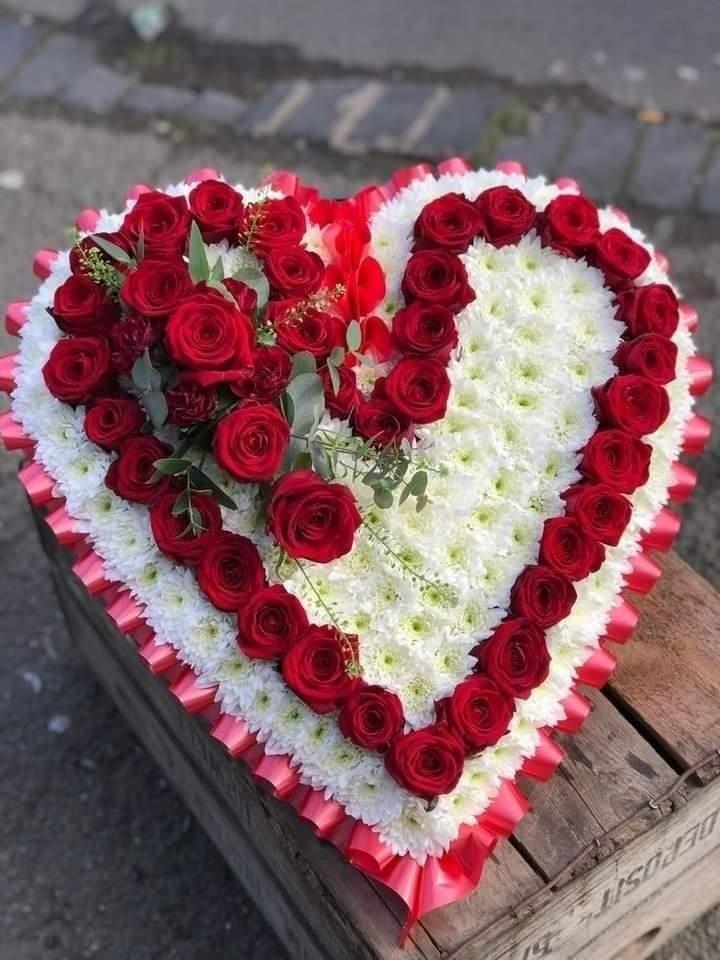 شع-راغلاست