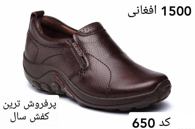 کفش واتسپ 0790838911