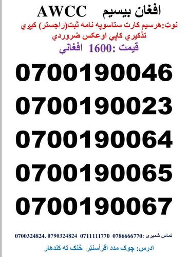 تماس شمیری: 0786666770 0711111770 وتسف نمبر : Whatsa