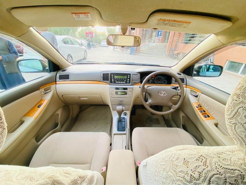 Luxel-G