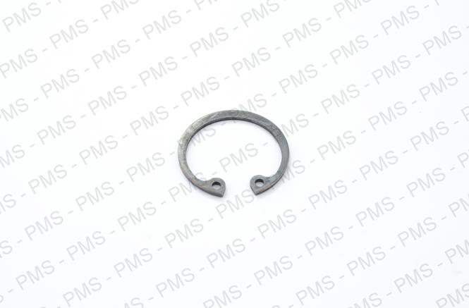حلقهٔ اسنپ - Snap ring