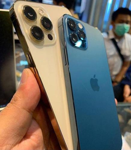 Apple iPhone 12 Pro Max : WhatsApp‪ +16829774467