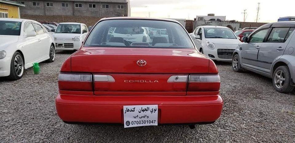 -کرولا-روغ-نو-وارد-