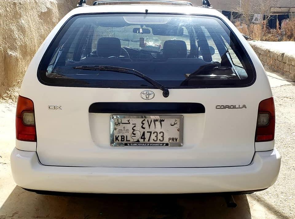 کاناډایی-سراچه