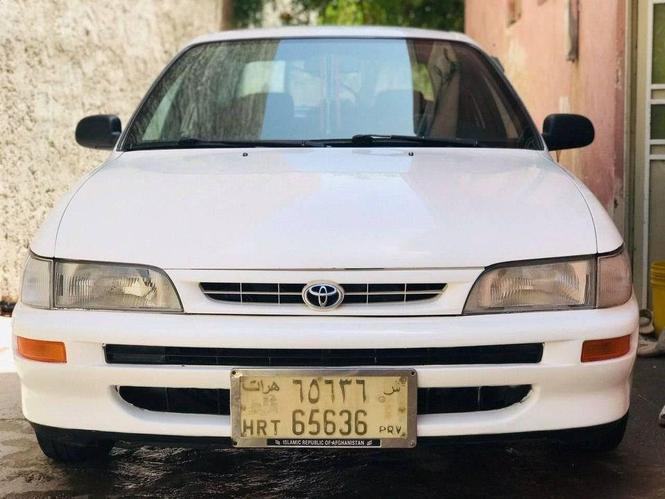 فروش و مالچه با LE تمیز ...