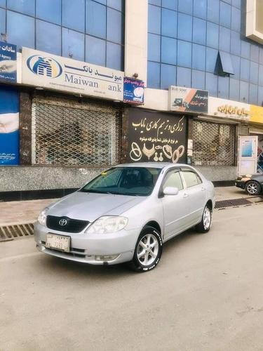 فروش و مالچه 0787469061