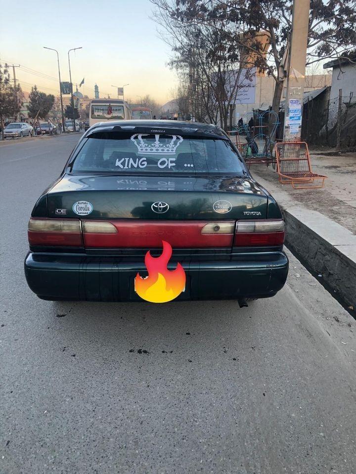 فروش-و-مالچه