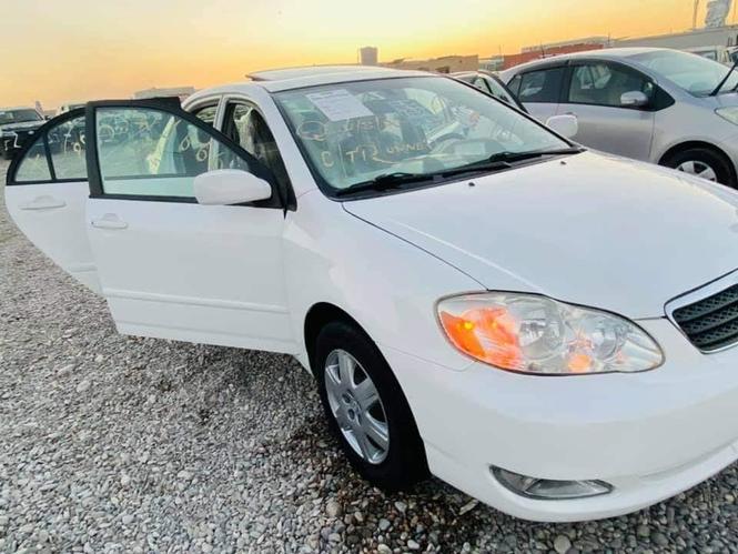 تودی کنادایی ایلی تفدار ناوارید