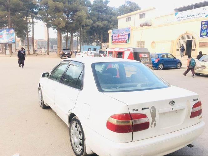 فروش عاجل شیپ خوستی