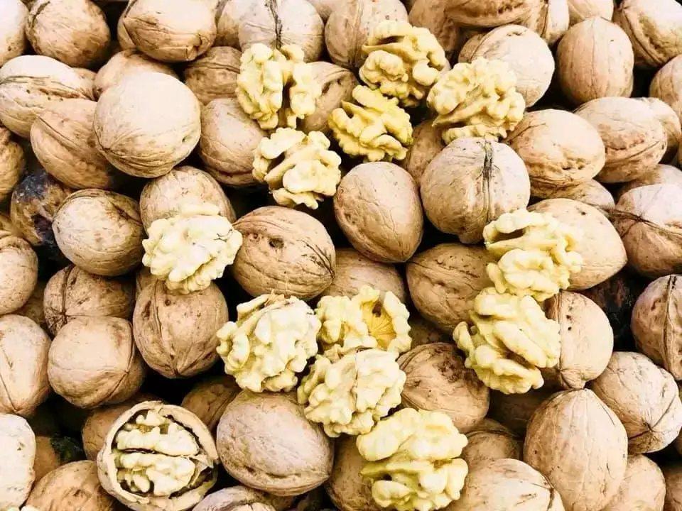 داﮐﺘﺮ-ﺳﺘﺮاﻧﮓ-ﻓﻮد