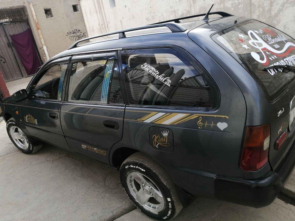 0786515958فروش-و-مالچه