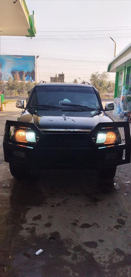 مالچه-و-فروش