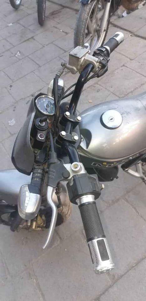 داسوزکی-سکورٹی-خرس-لپارہ
