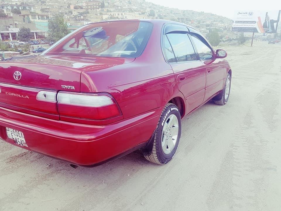 کرولایی-کانادایی1994