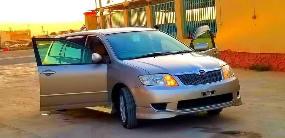 0700375316-0798419161