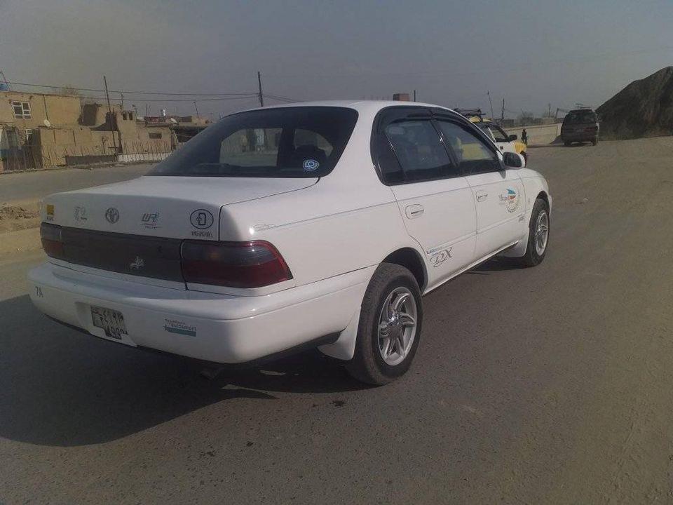 کرولا-کانادایی