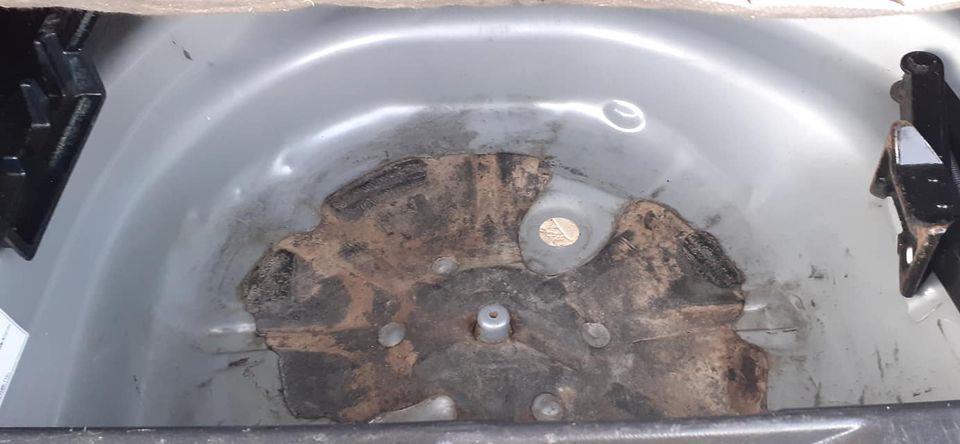 ايګزيو-فلډر-روغ