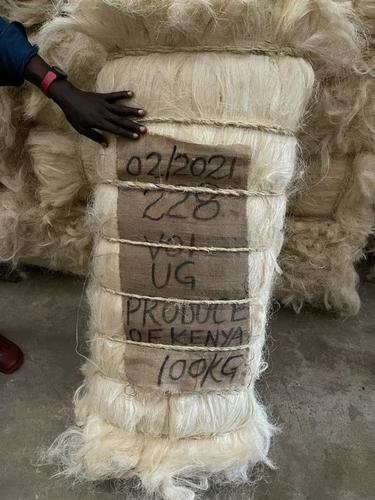 Sisal Fiber For Sale