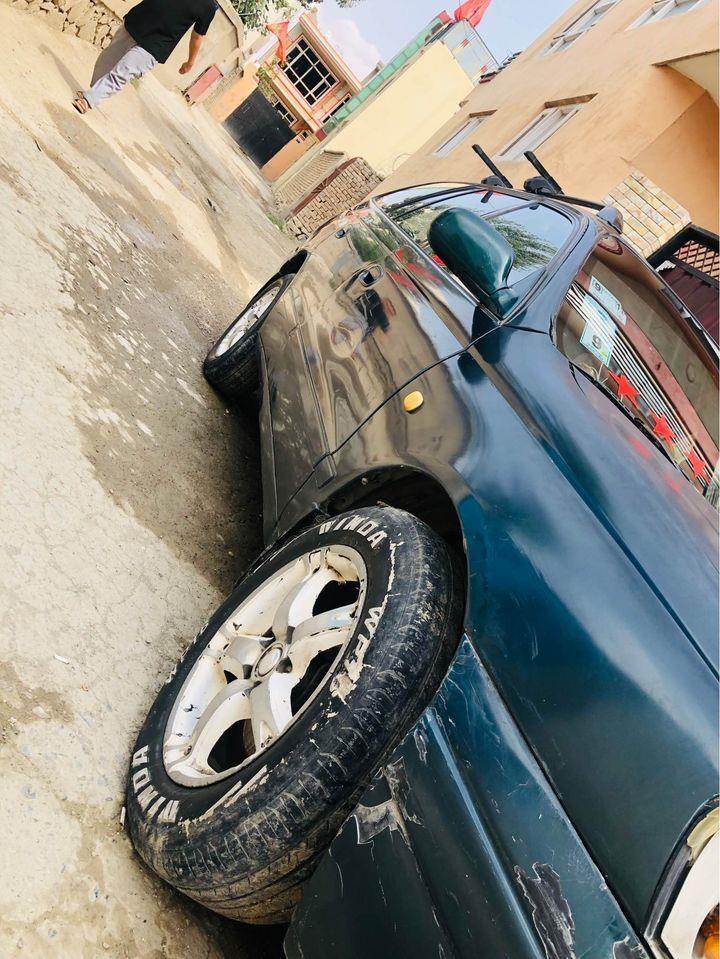 سراچه-جرمنی-کاندینا