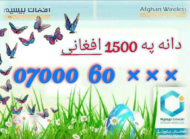 ښايسته او ارزانه نمبرونه. کولایسی په هر ولايت کی يی ترلاسه ک