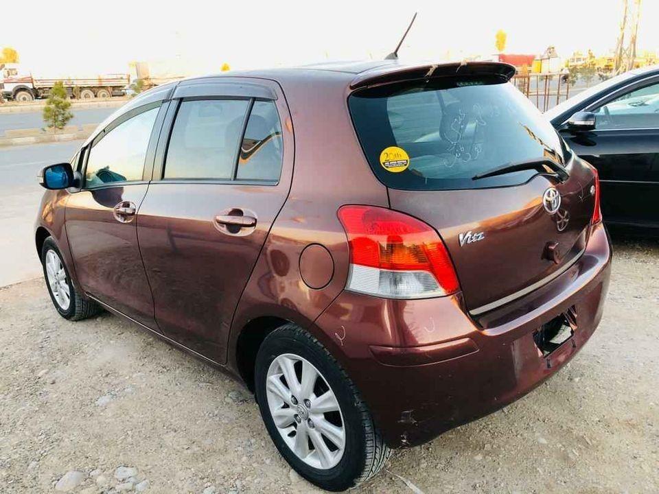 Vitz