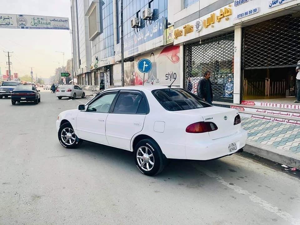 فروش-و-مالچه-0787469061