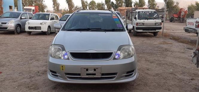 فلډر روغ