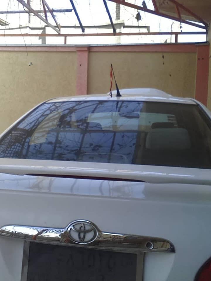 فروش-و-مالچه