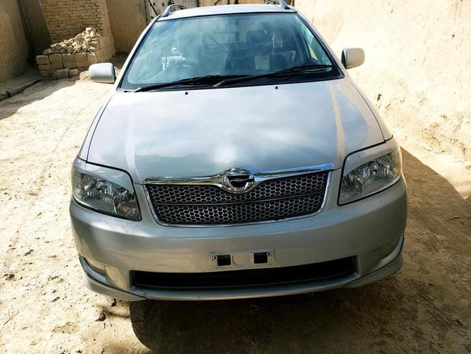 2005 فیلدرروغ