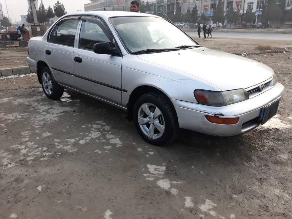 کرولای-کانادائی