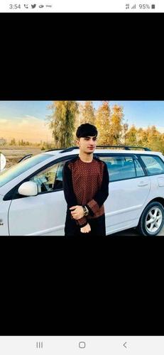 نوی ډیزی تور رنګ کی