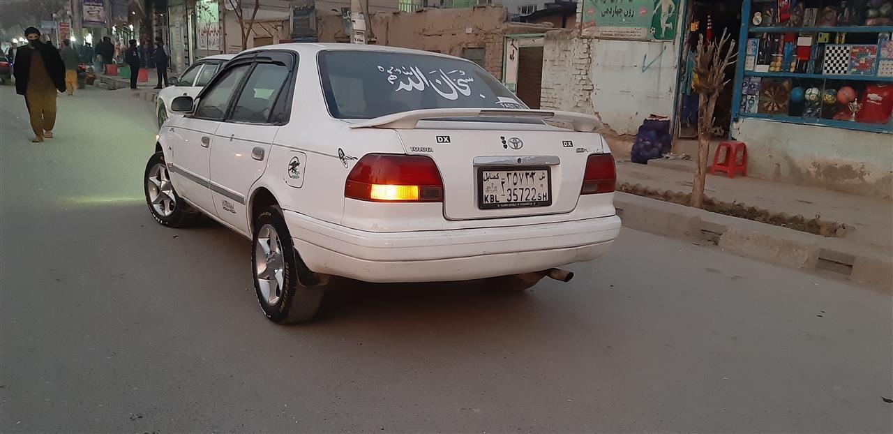 موتر-فروش-و-مالچیی