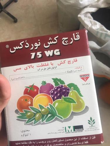 فروش سم نوردوکس