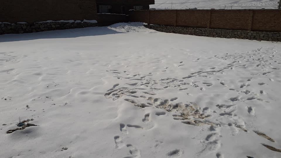 زمین-فروشی-عاجل