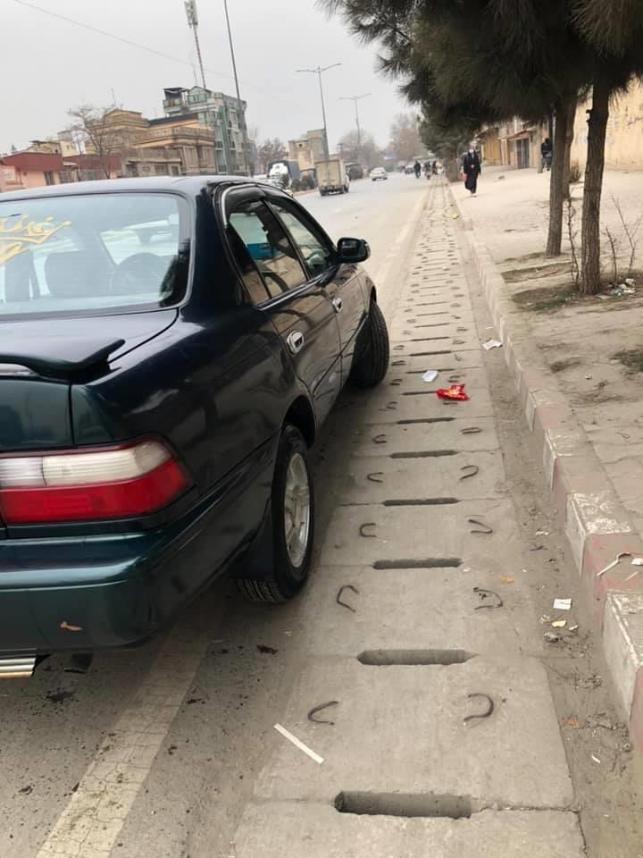 کرولا-کانادایی