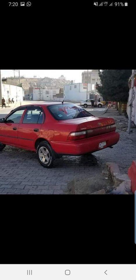 کورولا-کانادای
