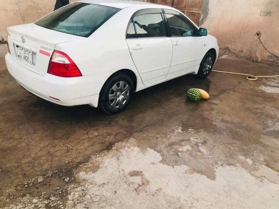 فروش-و-مالچه