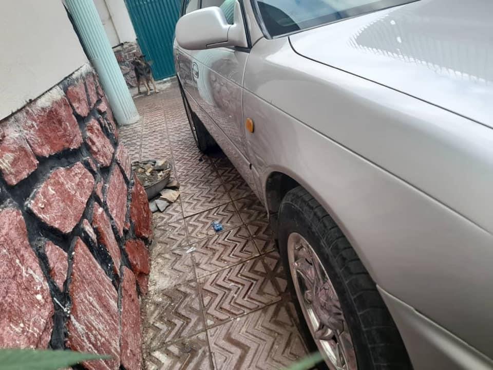 موتری-خانگی