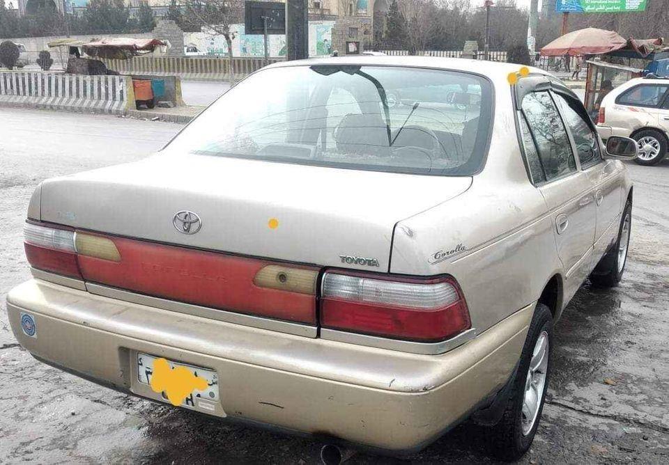 Corolla
