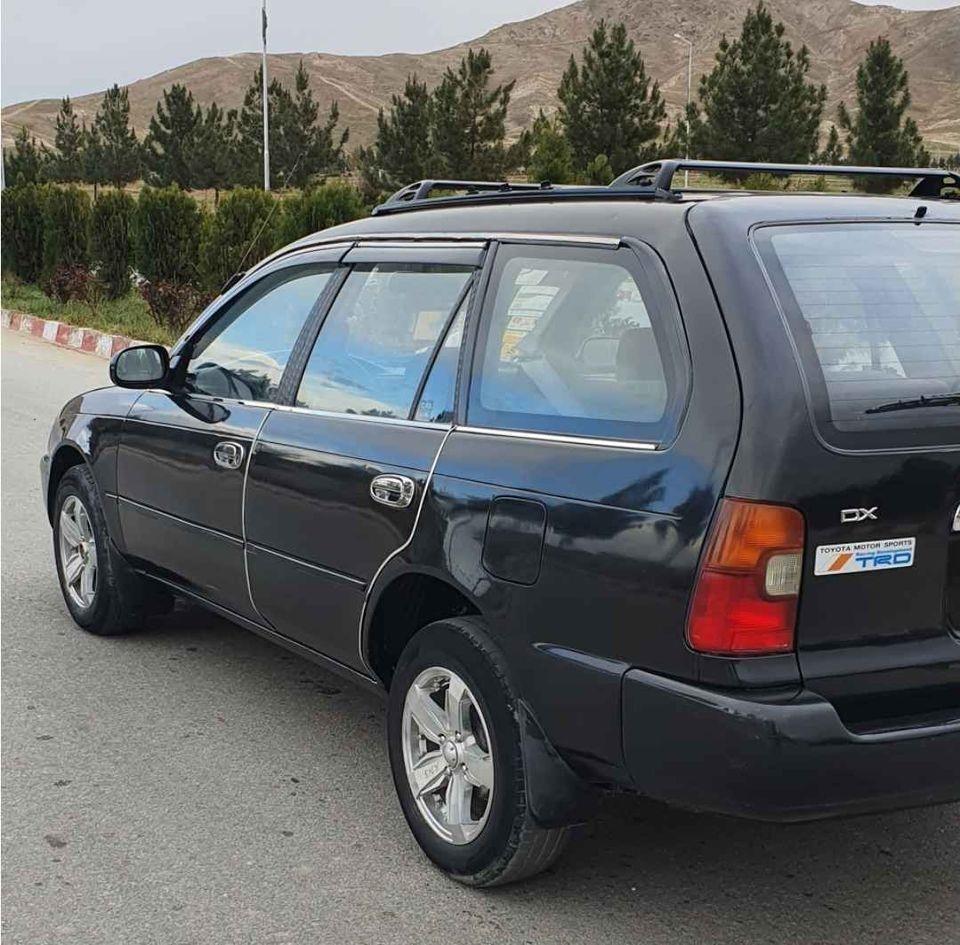 تیویتا-سراچه-آمریکایی