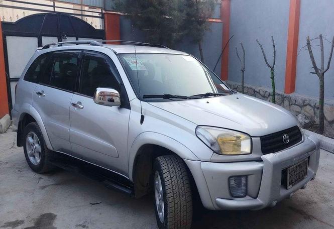 فروش و مالچه