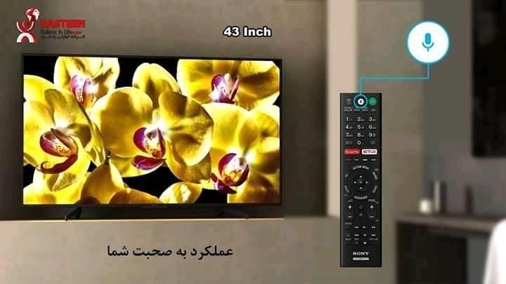 کیفیت-بالا-قیمت-مناسب