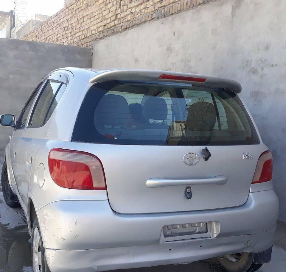 VitZ