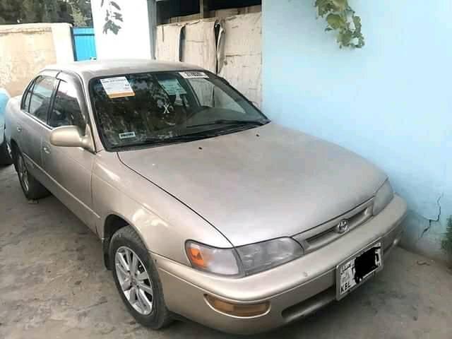 ضرورت-عاجل-به-کرولای-کانادای