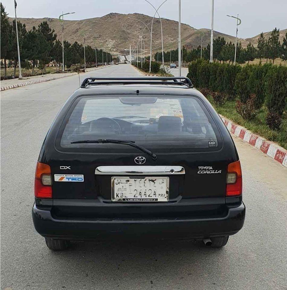تیویتا-سراچه-آمریکایی