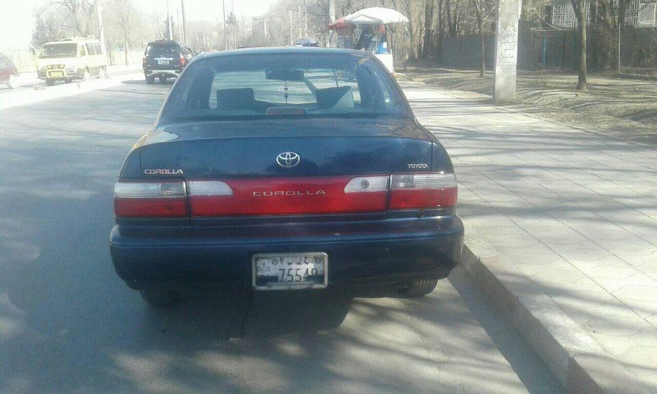 کرولای-1996-کانادایی