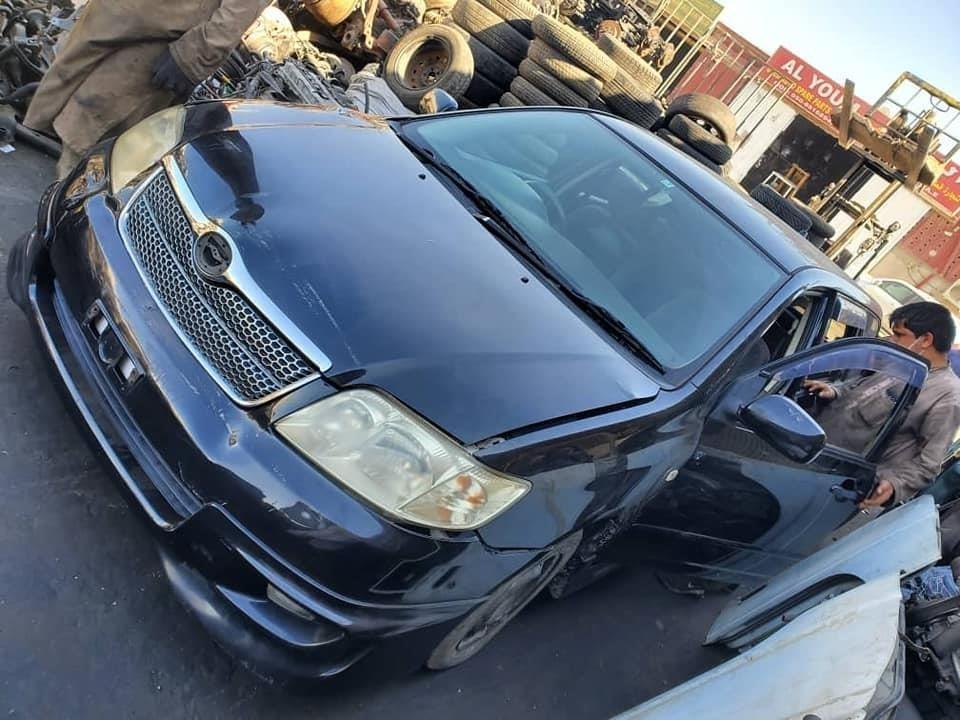 فلدر-روغ