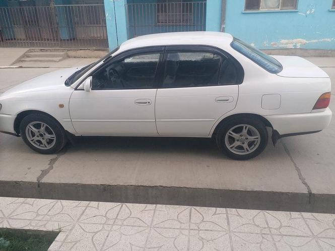 کرولای.جرمنی..