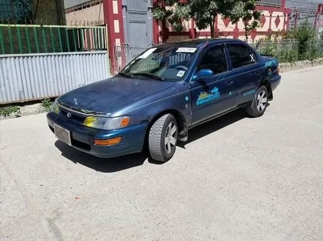 کرولای کانادایی