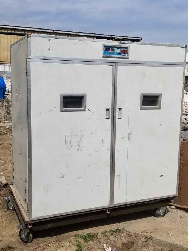 ماشین-چوچه-کشی-چینائی